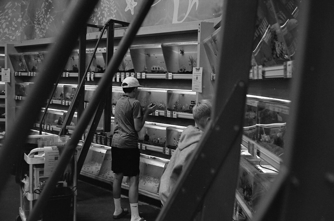 store detective observing customer